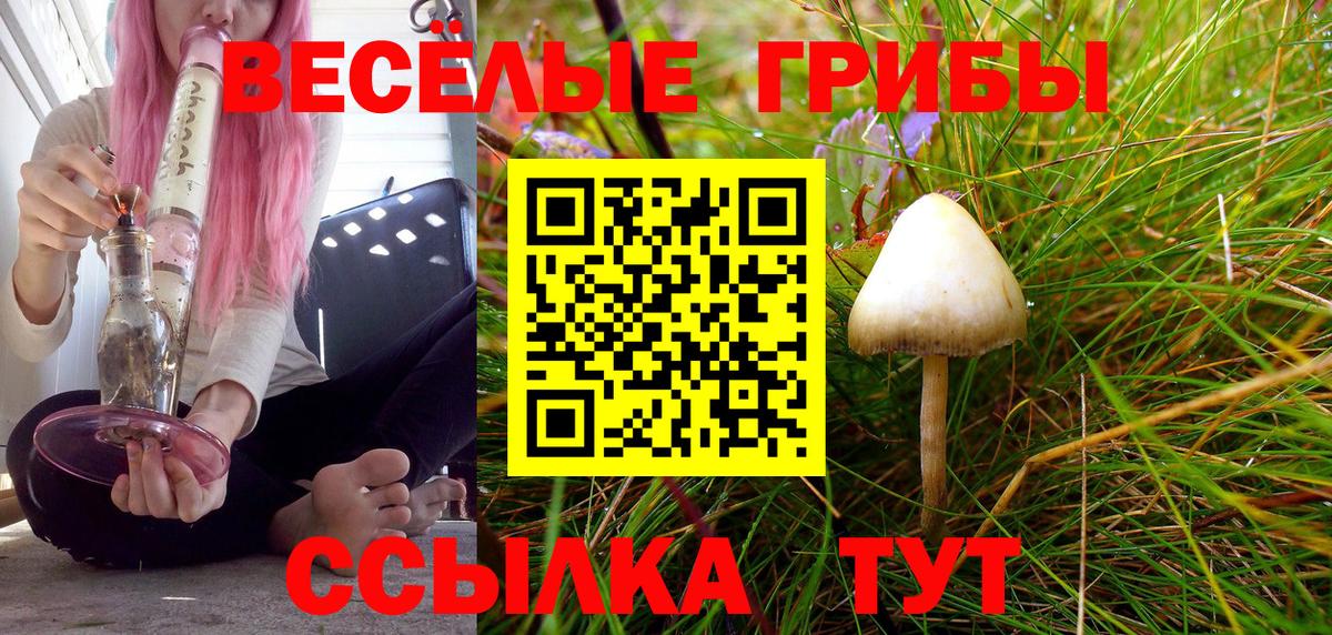 как найти наркотики  Псилоцибиновые грибы прущие грибы  Вход с VPN  Долгопрудный  Псилоцибиновые грибы ЛСД 
